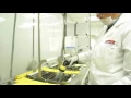 Costco Mexico Optical Laboratory