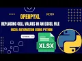 Excel Automation Tutorial - 11 Replacing Cell Values in Excel openpyxl Python
