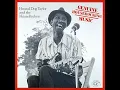 What'd I Say - Hound Dog Taylor