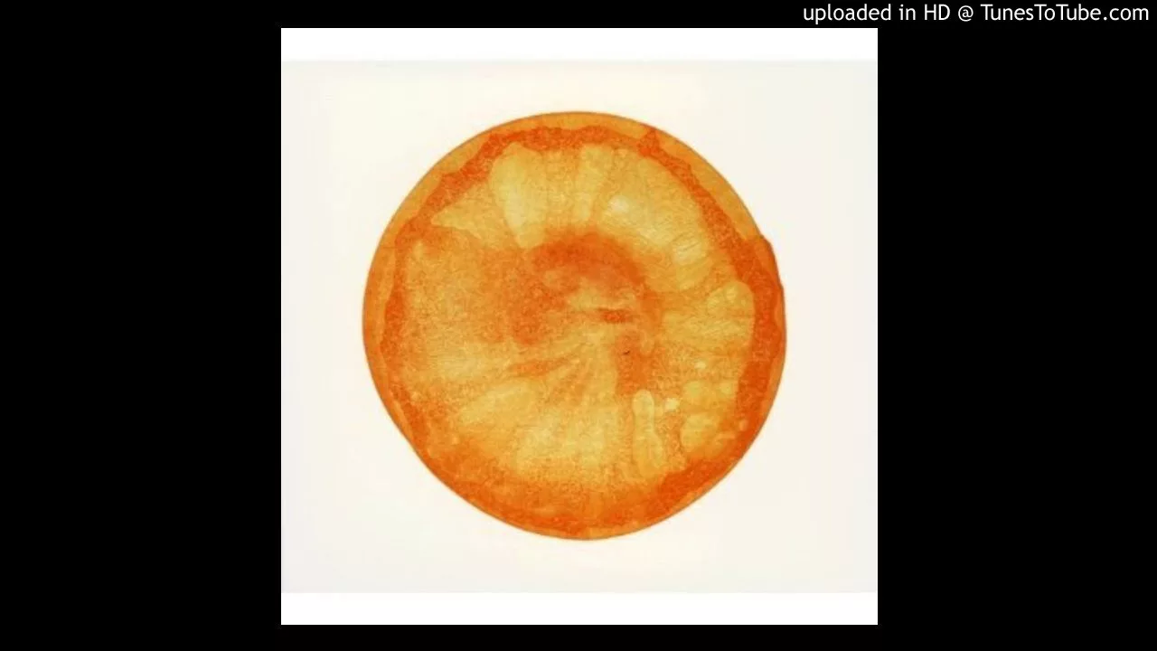 FISHMANSの人気曲ランキング【2025】