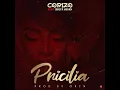 Download Lagu EL CORIZO PRICILIA