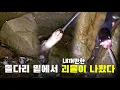 Download Lagu Wow, a monster as big as mine came out from under the stone bridge. A yellow-bellied freshwater e...