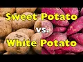 Sweet Potato vs White Potato Which One Is Actually Healthier