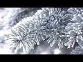 Download Lagu Paul Mauriat. Het beste. Wintersprookje.