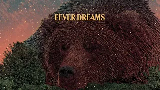 villagers fever dreams official audio 