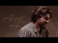 Download Lagu Vahag Atabekyan - Aveli Aveli | Sabry Aalil | New 2024