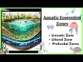 Fresh Water lakes Aquatic ecosystem Littoral zone limnetic zone profundal zone Ocean Zones