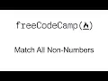 Regular Expressions - Match All Non-Numbers