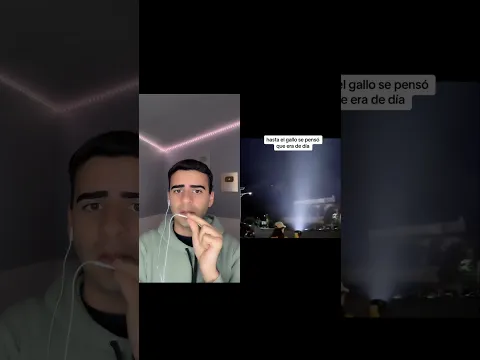 EL GALLO PENSÓ QUE ERA DE DÍA 😱 #viral