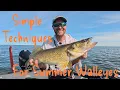 Simple Techniques to Catch Green Bay Walleyes