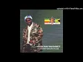 Aston 'Family Man' Barrett - Babylon Out Number Dub