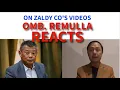 OMB. REMULLA REACTS ON ZALDY CO'S VIDEOS
