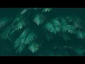 Tropical Green Leaves Live Wallpaper