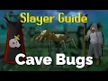 Cave Bugs Slayer Quick Guide OSRS