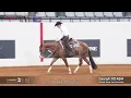 2025 Senior Ranch Riding World Champion
