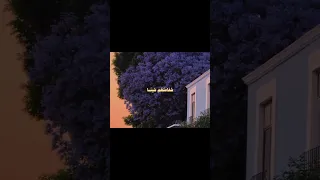 أم للإنسان ما تمنى تلاوة من سورة النجم بصوت الحصري  أم للإنسان ما تمنى تلاوة من سورة النجم بصوت الحصري