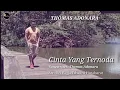 Lagu Thomas Adonara - Cinta Yang Ternoda ( Official Music Video)