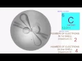 PERIODIC TABLE ELECTRON SHELLS