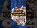 Download Lagu 5 Manfaat Kacang Tanah bagi Kesehatan #tipsehat #infosehat #kacangtanah