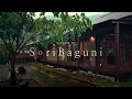 Rain on a Mountain House | Real Rain Sounds for Sleep, Relaxation & Focus ASMR