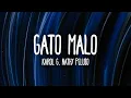 Download Lagu KAROL G \u0026 Nathy Peluso - GATO MALO (Letra/Lyrics)