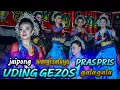Download Lagu PRAS PRIS HUJAN WAE ~ WARGI SALUYU UDING GEZOS ~ JAIPONG TERBARU ~ bunihayu