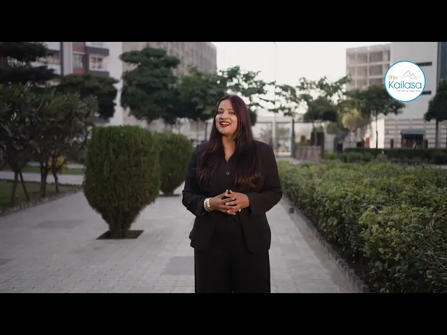 Project Video