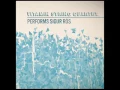 All Alright - Vitamin String Quartet Performs Sigur Ros
