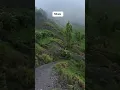 Download Lagu Landslides in Mbale uganda🇺🇬