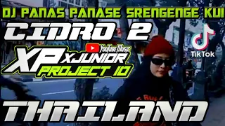 Download DJ PANAS PANASE SRENGENGE KUI VERSI THAILAND TERBARU VIRAL TIKTOK 2021 || DJ CIDRO 2 THAILAND MP3