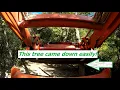 My Farm Tractor with Front End Loader pushing over a tree Kubota LA723 L3430 Getting the job done