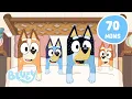 Download Lagu 🔴LIVE: Relax with the Heelers 💙 | Family Chill Time with Bluey and Bingo | Bluey