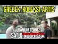 Download Lagu GREBEK ARTIS PUNYA PALUDARIUM TERBESAR SE INDONESIA DAN HEWAN ANEH LAINNYA !