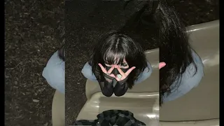 dil ding dong dole sped up 