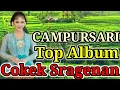 Lagu ALBUM PILIHAN TERBAIK CAMPURSARI COKEK SRAGENAN PALING GAYENG LUR