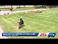 Dog Days of Summer brings pets and performances to Principal Park