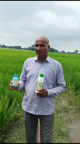 देवरिया के अजय कुमार की नैनो यूरिया और सागरिका के इस्तेमाल से कैसे चमकी किस्मत | वनइंडिया हिंदी