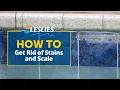 How to Get Rid of Stains and Scale in Your Pool Leslie s