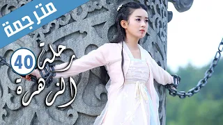 الحلقة 40 من الدراما الرومانسية رحلة الزهرة The Journey Of Flower 