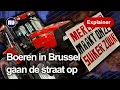 Waarom boeren met aardappels gooien en dingen slopen in Brussel