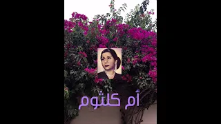 سلوا قلبي غداة سلا وثابا أم كلثوم  سلوا قلبي غداة سلا وثابا أم كلثوم