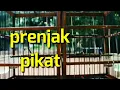 Prenjak kepala merah pikat sepasang anti rewel