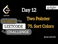 Day 12 Two Pointer LeetCode 75 - Sort Colors Tamil