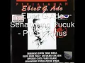 Download Lagu Ebiet G Ade - Senandung Pucuk - Pucuk Pinus