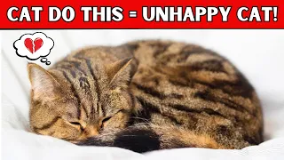 6 Signs Your Cat is Unhappy (NEVER IGNORE)