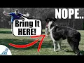 Fix Your Fetch - For Dogs That Don t Bring It Back
