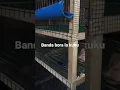 Download Lagu Banda bora la kuku wa kienyeji 2021
