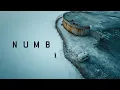 A film that keeps you on the edge until the very last minute NUMB Survival in the Snow