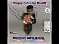 Lagu Deejay Zebra Sa MusiQ