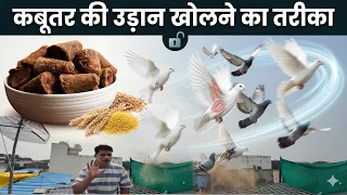 Kabutar ki udan kholne ka Tarika | कबूतर की उड़ान खोलने का तरीका 